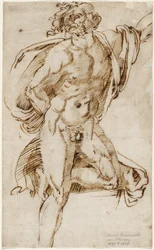 Nøgen mand, der læner sig på det ene knæ i en kontraposto-stilling (undersøgelse relateret til Laocoön), ca. 1520-25 (pen og jerngalblæk på lagt papir)